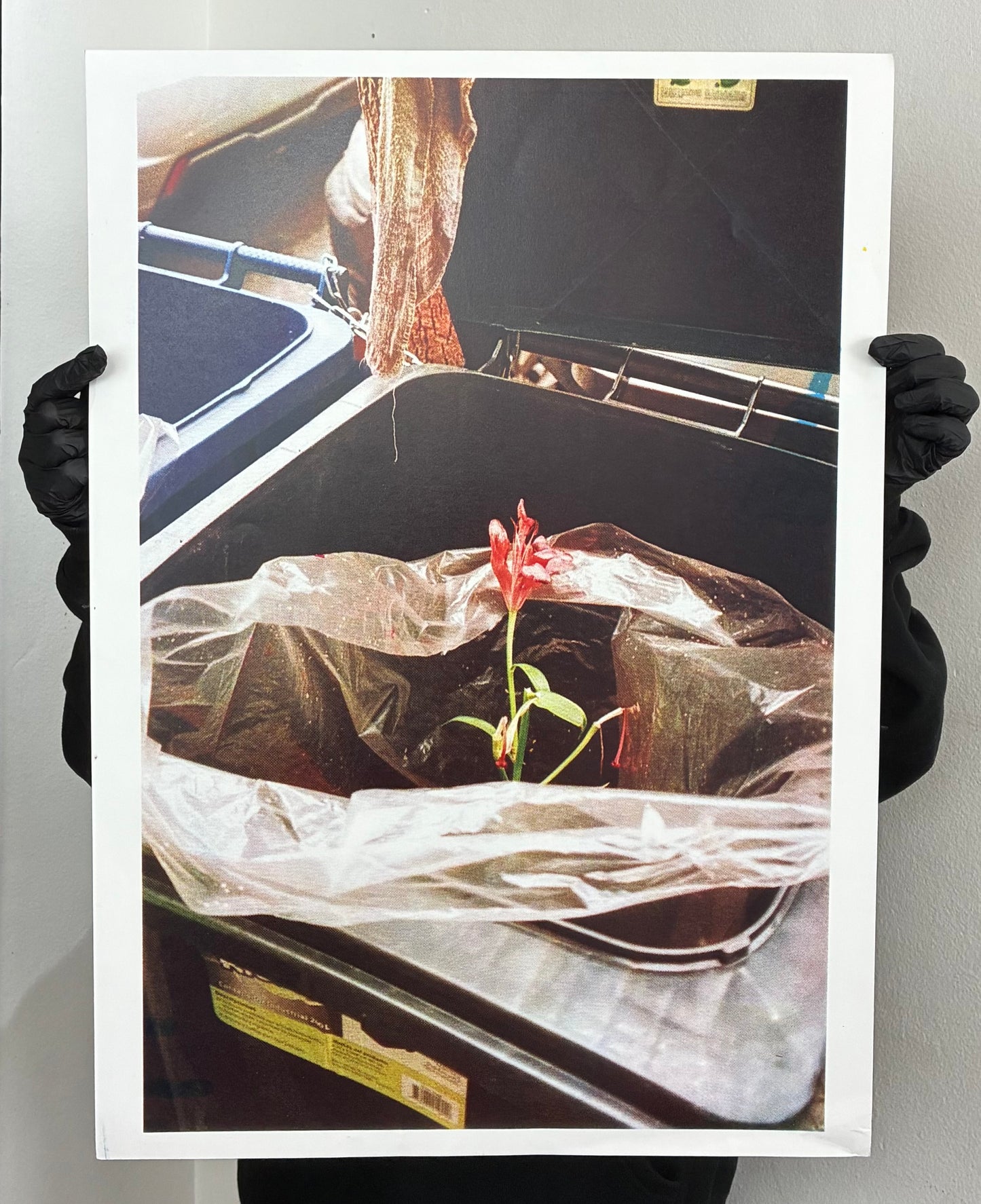 FOTOGRAFIA cmyk REPRODUCCION tintas sinteticas copias unicas